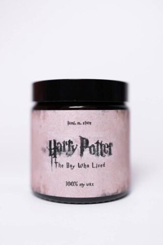 Cвічка Harry Potter